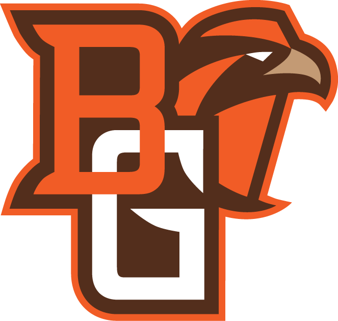 Bowling Green Falcons 2006-Pres Alternate Logo v5 DIY iron on transfer (heat transfer)